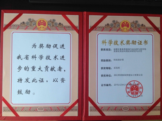 科技进步二等奖